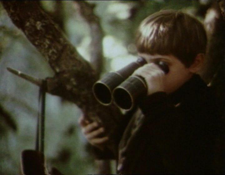 Кадр из фильма Среди серых камней (1983)