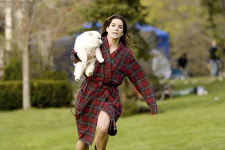 Кадр из фильма Предложение / The Proposal (2009)