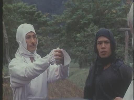 Кадр из фильма Охотник Ниндзя / Wu Tang vs Ninja (1984)