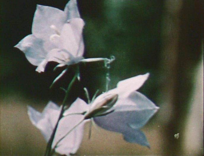 Кадр из фильма Иванко и царь Поганин (1984)
