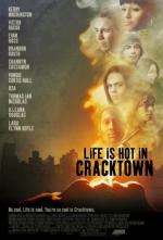 Веселая жизнь в Крэктауне / Life Is Hot in Cracktown (2009)