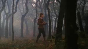 Кадры из фильма Привидение / Widziadlo (1984)