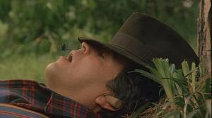 Кадры из фильма Деревенщина / Il ragazzo di campagna (1984)