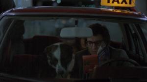 Кадры из фильма Хвала тебе, Мария / Je vous salue, Marie (1984)