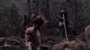 Кадры из фильма След панды / Xiong mao hui jia lu (2009)