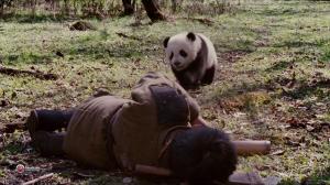 Кадры из фильма След панды / Xiong mao hui jia lu (2009)