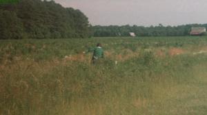 Кадры из фильма Расчленитель / The Mutilator (1984)