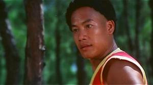 Кадры из фильма Мастер Южного Шаолиня / South Shaolin Master (1984)