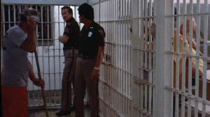 Кадры из фильма Солнце, море и парни / Where the Boys Are (1984)