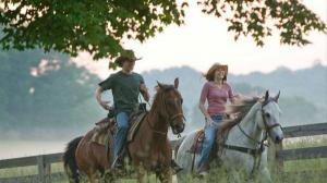 Кадры из фильма Ханна Монтана: Кино / Hannah Montana: The Movie (2009)