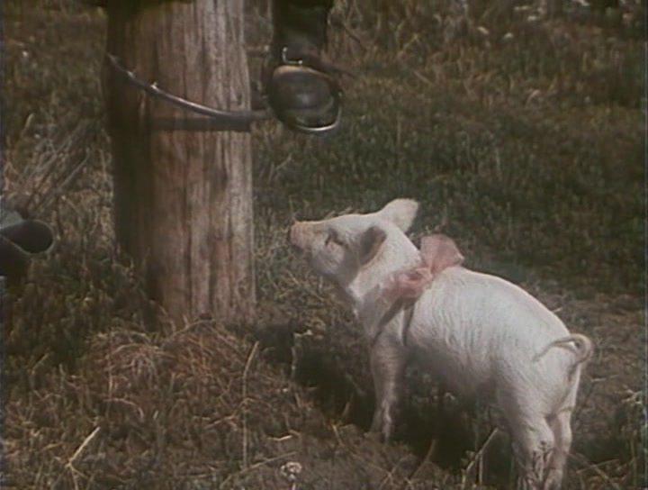 Кадр из фильма Что у Сеньки было? (1984)
