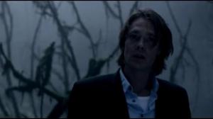 Кадры из фильма Скрытые / Skjult (2009)
