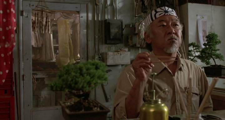 Кадр из фильма Парень - каратист / The Karate Kid (1984)