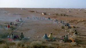 Кадры из фильма Там, где мечтают зеленые муравьи / Wo die grünen Ameisen träumen (1984)