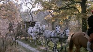 Кадры из фильма Король Дроздовик / Král Drozdia Brada (1984)