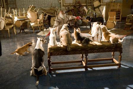 Кадр из фильма Отель для собак / Hotel for Dogs (2009)