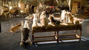 Кадры из фильма Отель для собак / Hotel for Dogs (2009)