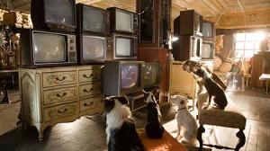 Кадры из фильма Отель для собак / Hotel for Dogs (2009)