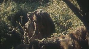 Кадры из фильма В стреляющей глуши (1985)