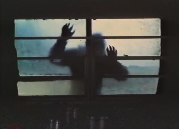Кадр из фильма Ужас на болотах (Ужас на болоте) / Terror in the Swamp (1985)