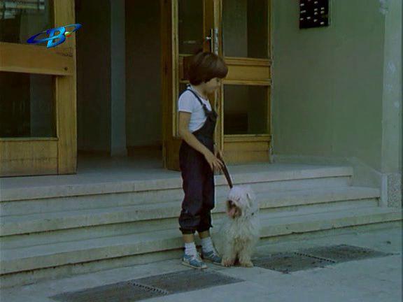 Кадр из фильма Муж для мамы / Tarsi se saprug za mama (1985)