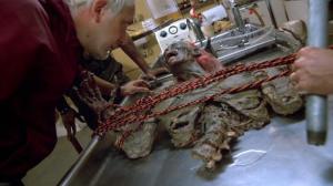 Кадры из фильма Возвращение живых мертвецов / The Return of the Living Dead (1985)
