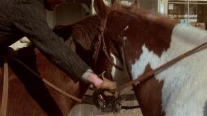 Кадры из фильма Сильверадо / Silverado (1985)
