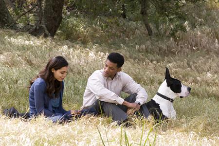 Кадр из фильма Семь жизней / Seven Pounds (2009)
