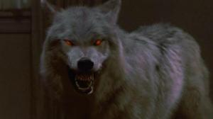 Кадры из фильма Fright Night