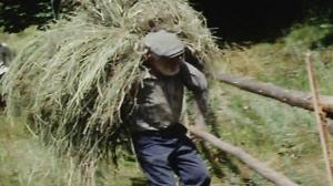 Кадры из фильма Кадет (2009)