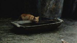 Кадры из фильма Кадет (2009)