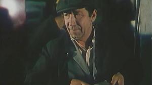 Кадры из фильма Прощай зелень лета (1985)