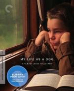 Моя собачья жизнь / Mitt liv som hund (1985)