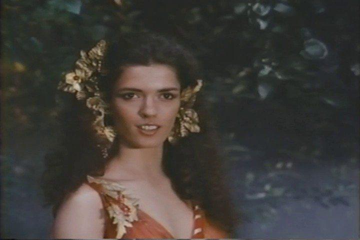 Кадр из фильма Волшебники Забытого королевства / Wizards of the Lost Kingdom (1985)