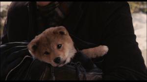 Кадры из фильма Хатико: Самый верный друг / Hachi: A Dog's Tale (2009)