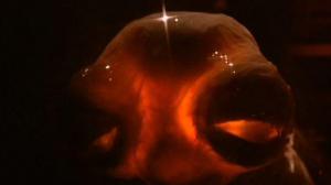 Кадры из фильма Звездный Кристалл / Star Crystal (1986)