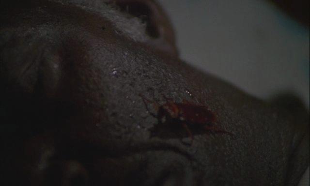 Кадр из фильма Ночь убийств / Mountaintop Motel Massacre (1986)