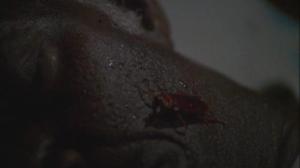 Кадры из фильма Ночь убийств / Mountaintop Motel Massacre (1986)