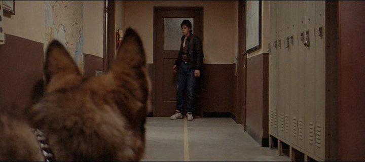 Кадр из фильма Попутчик / The Hitcher (1986)