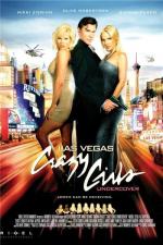 Безумные девчонки-агенты / Crazy Girls Undercover (2008)
