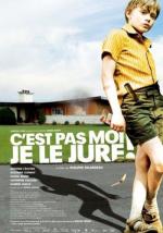 Клянусь, это не я! / C'est pas moi, je le jure! (2008)