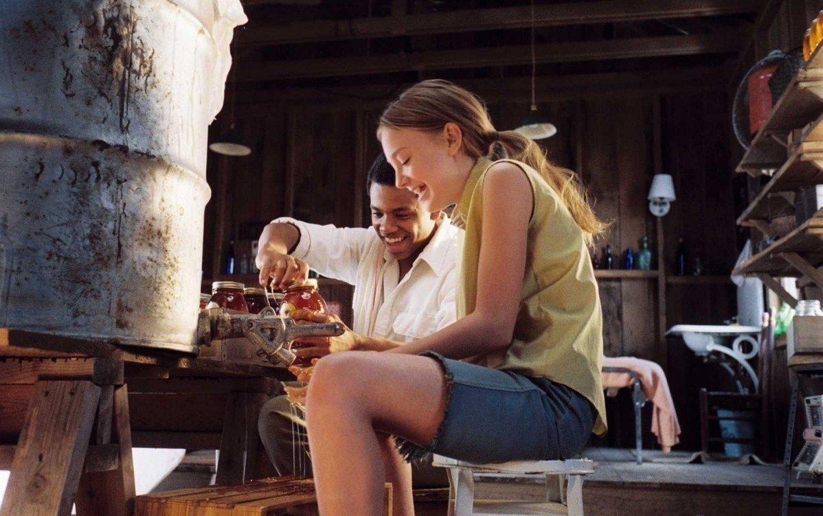 Кадр из фильма Тайная жизнь пчел / The Secret Life of Bees (2008)