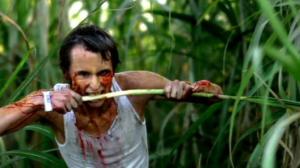 Кадры из фильма Мутанты / Mutants (2008)