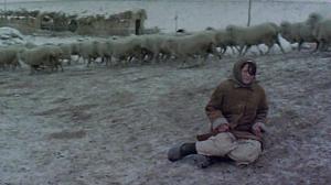 Кадры из фильма Прощай, Гульсары! / Proshchai, Gulsary! (2008)