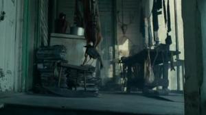 Кадры из фильма Солнцестояние / Solstice (2008)