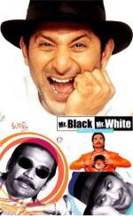 Мистер Уайт и мистер Блэк / Mr. White Mr. Black (2008)