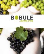 Ягоды / Bobule (2008)