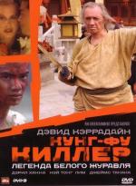 Школа боевых искусств (Кунг-фу Киллер) / Kung Fu Killer (2008)