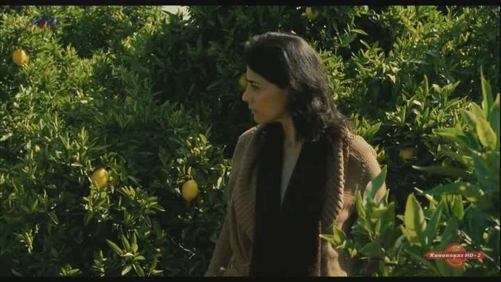 Кадр из фильма Лимонное дерево / Etz Limon (2008)
