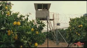 Кадры из фильма Лимонное дерево / Etz Limon (2008)